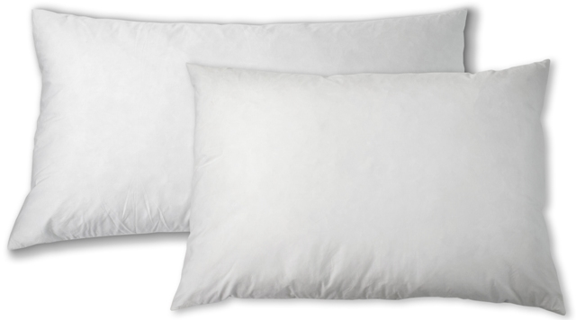 Dbp-28s White Down Blend Pillow - Standard 22 X 28 In. -pack Of 2