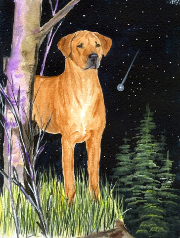 UPC 705332053235 product image for SS8479GF Starry Night Rhodesian Ridgeback Flag - Garden Size- 11 x 15 in. | upcitemdb.com