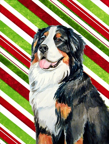11 X 15 In. Bernese Mountain Dog Candy Cane Holiday Christmas Garden Size Flag