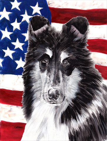 Black And White Collie With American Flag Usa Flag Garden Size