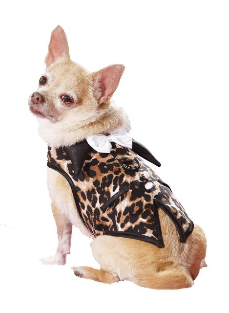 Hp504 Doggie Leo Print Tuxedo Vest Harness Fully Lined, Leopard - Extra Small