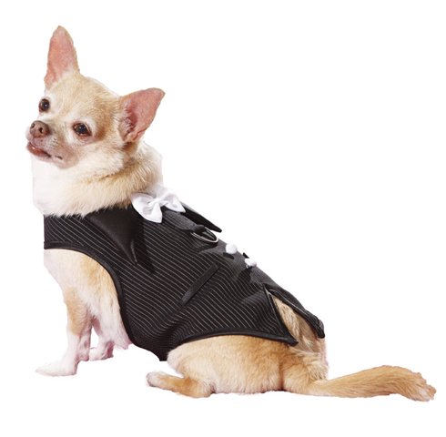 Hp505 Pinstripe Doggie Tuxedo Vest Harness Fully Lined, Black & White - Extra Small
