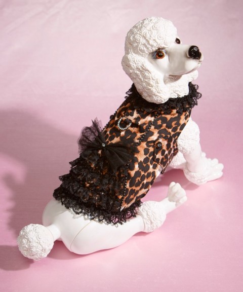 Hp808 Corset Harness Leopard Print Fully Lined Doggie Wear, Extra Small