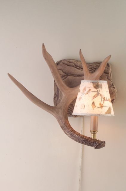 Hp-66595 Whitetail Antler Wall Sconce Left