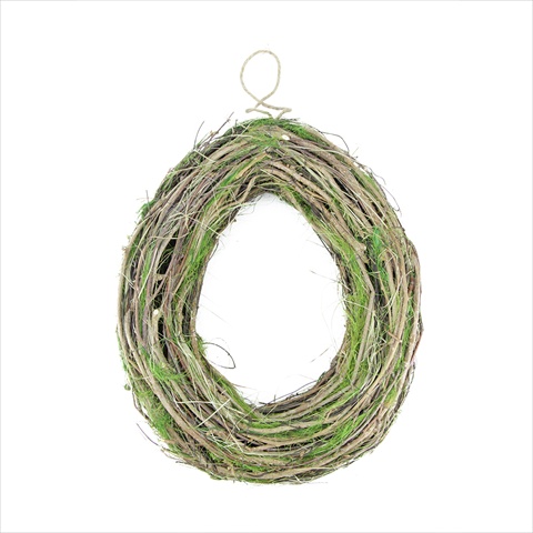 15.5 In. Grapevine Twig And Green Moss Egg-shaped Wreath
