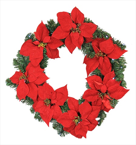 22 In. Pre-lit Battery Operated Red Artificial Poinsettia Christmas Wreath - Clear Led Lights
