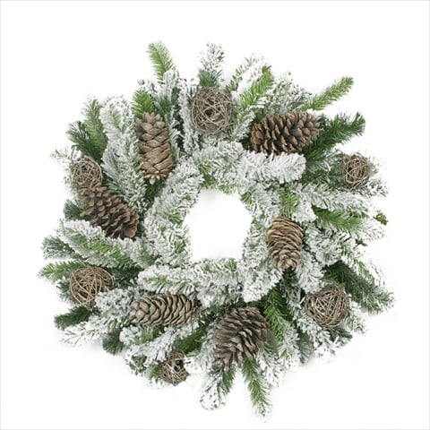 24 In. Flocked Pine Cone And Twig Ball Artificial Christmas Wreath - Unlit