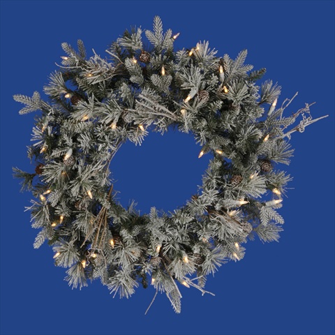24 In. Pre-lit Frosted Wistler Fir Artificial Christmas Wreath - Clear Dura Lights