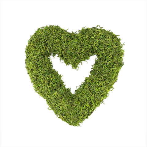13.5 In. Green Reindeer Moss Heart-shaped Artificial Wreath