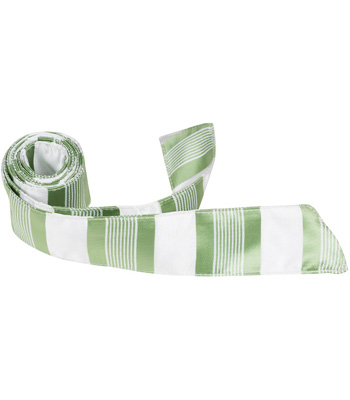 5384 Xg25 Ht - 42 In. Child Matching Hair Tie - White With Green Stripes