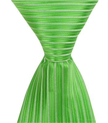 4186 G8 - 9.5 In. Zipper Necktie - Green, 6 To 18 Month