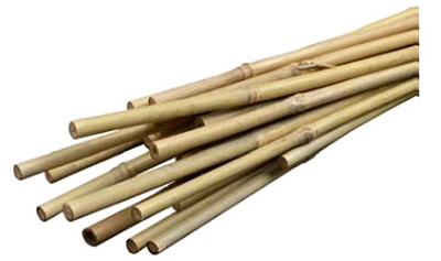 Bond Manufacturing Smg12029 2 Ft. Bamboo Stake, 12 Pack