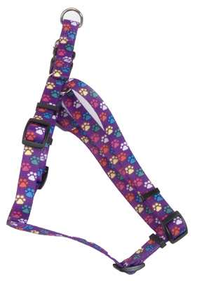 66445 A Spw24 .63 In. Adjustable Special Paws, Fashion Harness