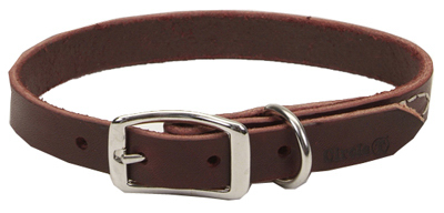 02108 B Lat24 1 X 24 In. Leather Dog Collar