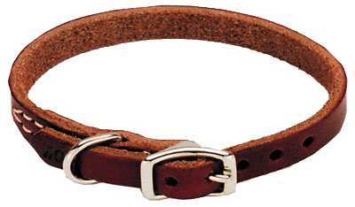 02104 B Lat16 .5 X 16 In. Leather Dog Collar