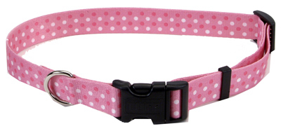 Coastal Pet 06902 A Pdt26 1 In. Adjustable Nylon Fashion Collar, Pink Dot Pattern