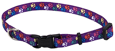 Coastal Pet 06321 A Spw12 .38 In. Adjustable Paws Nylon Collar, Adjust 8-12 In