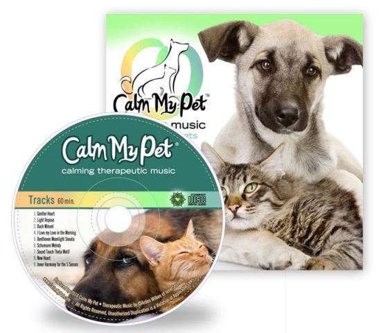 Cmp883 Calming Music That Helps Pets Cope With Common Phobias