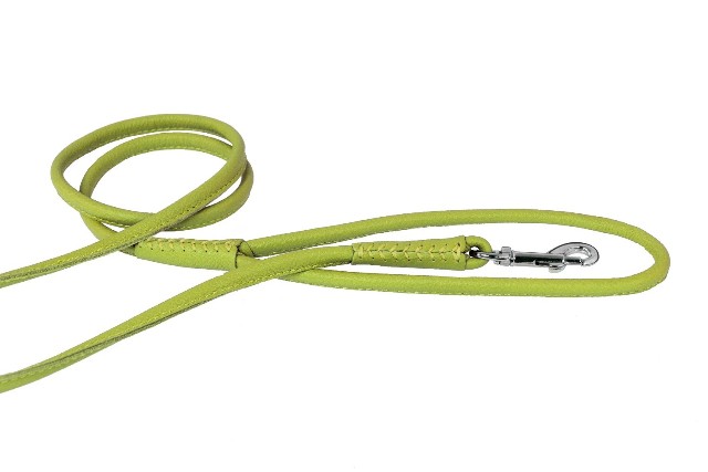 48 L X 0.25 W In. Round Leather Leash, Green