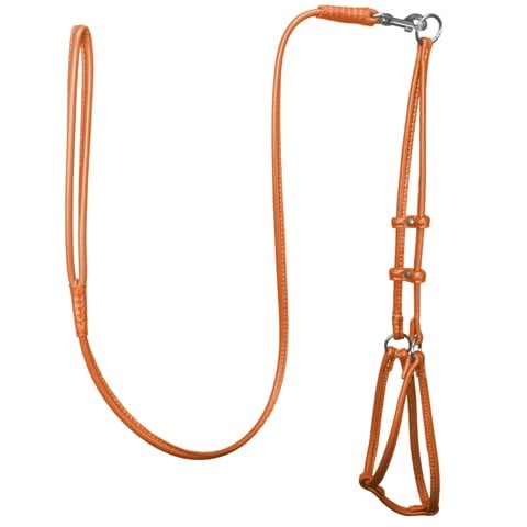 48 L X 0.25 W In. Round Leather Step-in Harness With Leash, Orange