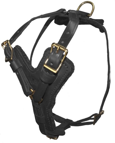 V3002-1 21-30 N X 32-40 G In. Typhoon Leather Working Dog Harness, Black