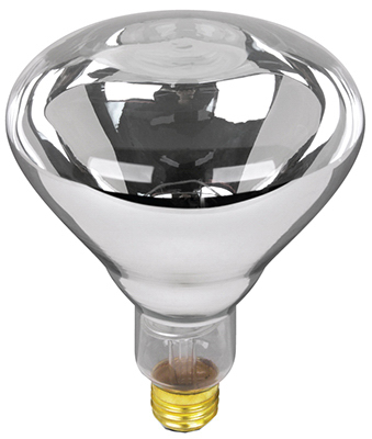 125r40-1 125w Heat Lamp, Clear
