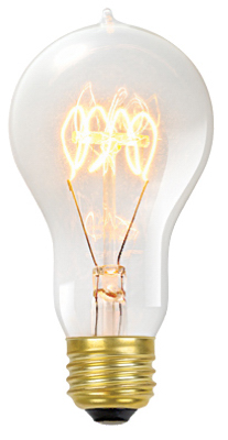 01325 60w A19 Incandescent Vintage Edison Bulb