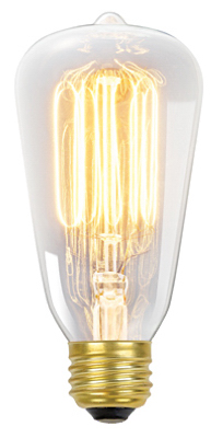 01321 60w S60 Incandescent Vintage Edison Bulb