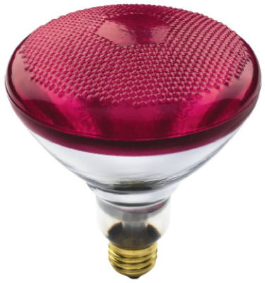 70894 100w Br38 Westpointe Flood Beam Accent Reflect Light Bulb, Red