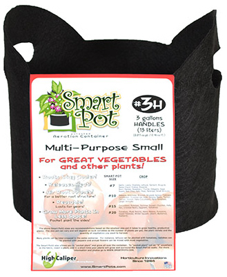 21003rt 3 Gallon, Black Patented Small Smart Pot With Handles