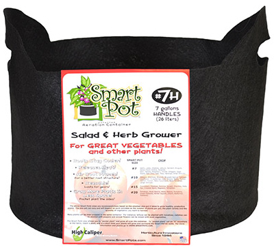 21007rt 7 Gallon, Black Patented Small Smart Pot With Handles