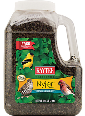 Kaytee Products 100033969 Nyjer Single Grain Bird Seed