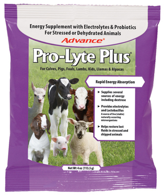 0094610371 Pro Lyte Nutritional Energy Supplement, 4 Oz.