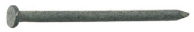 54188 12d Hot Galvanized Smooth Shank Common Nail
