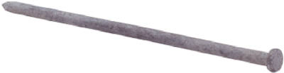 54285 12 In. Galvanized Smooth Spike Nail