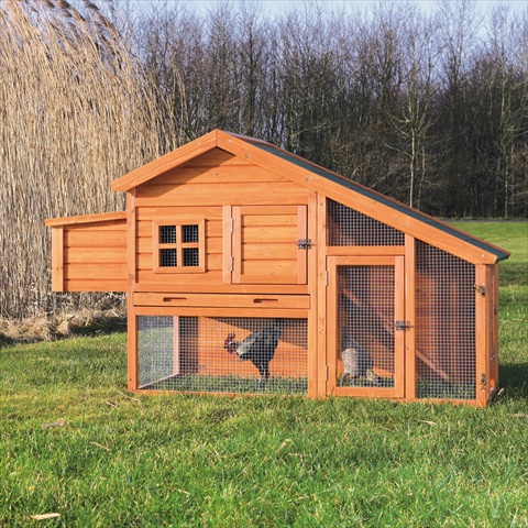 55962 Chicken Coop With A View
