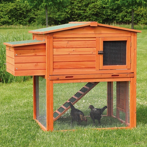 2-story Chicken Coop With Outdoor Run - Glazed Pine