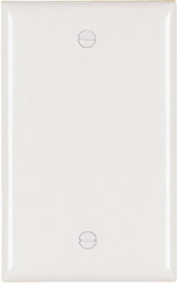 UPC 785007274769 product image for Pass & Seymour TP13WCC30 1 Gang Blank Nylon Wall Plate  White Pack of 30 | upcitemdb.com