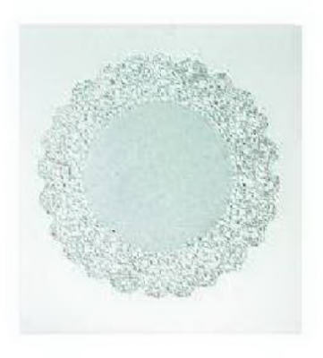 23004 8 In. Round White Paper Doily - 20 Pack