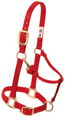 35-7034-rd 1 In. Small Adjustable Chin & Throat Snap Halter - Red
