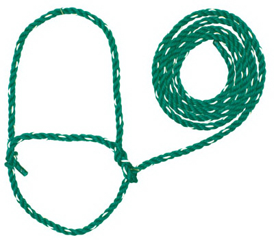 35-7900-h2 7 Ft. Poly Rope Halter - Cow Size, Green & White