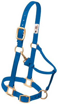 35-7036-bl 1 In. Large Adjustable Chin & Throat Snap Halter - Blue