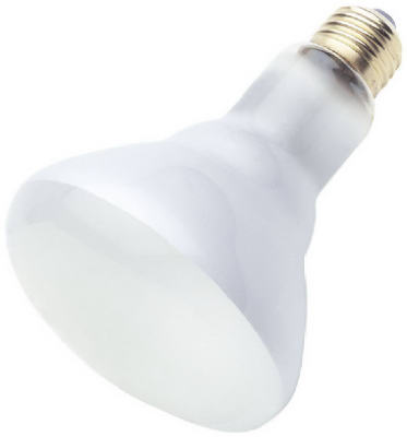 03646 65w, Flood Beam Type Reflector Flood Light Bulb