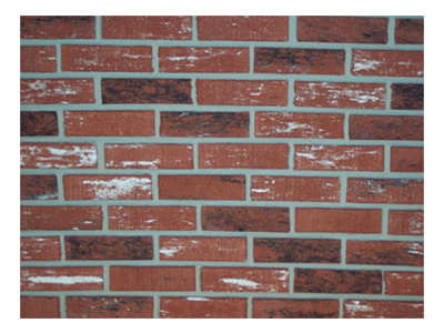 Zc004205 Carton Of 20 Used Brick Facing