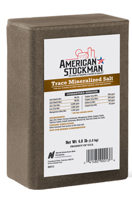 90013 4 Lbs. Trace Mineral Brick, Pack Of 15