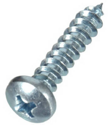 UPC 008236033496 product image for 5502 No. 12 x 1 in. Phillips Zinc Sheet Metal Screw - Pack Of 10 | upcitemdb.com