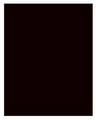24309 22 X 28 In. Black Posterboard, Pack Of 25