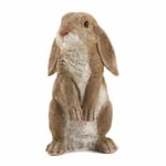 10016953 Curious Rabbit Garden Statue