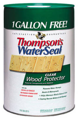 21806 6 Gallon Clear Wood Protector