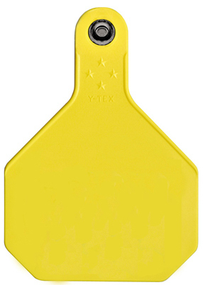 7913000 4 Star Blank Tag - Large, Yellow
